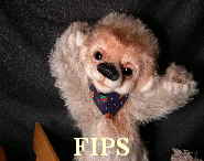 Fips13 Fips13